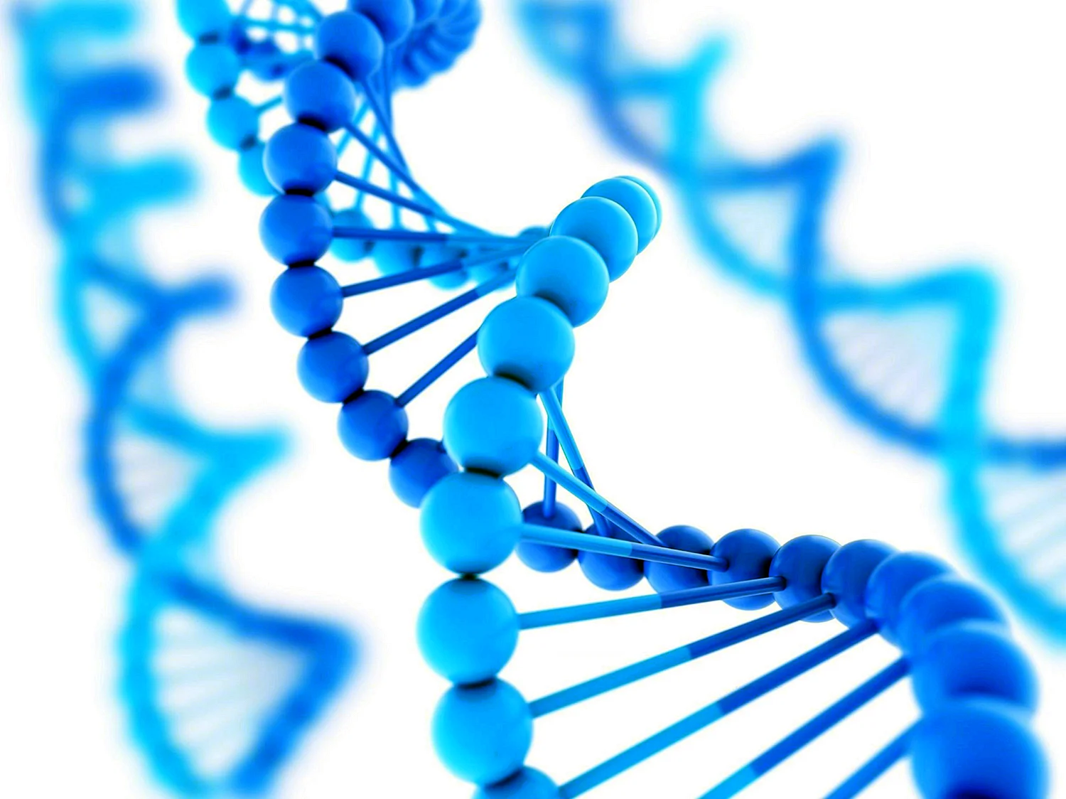 Биологические молекулы ДНК