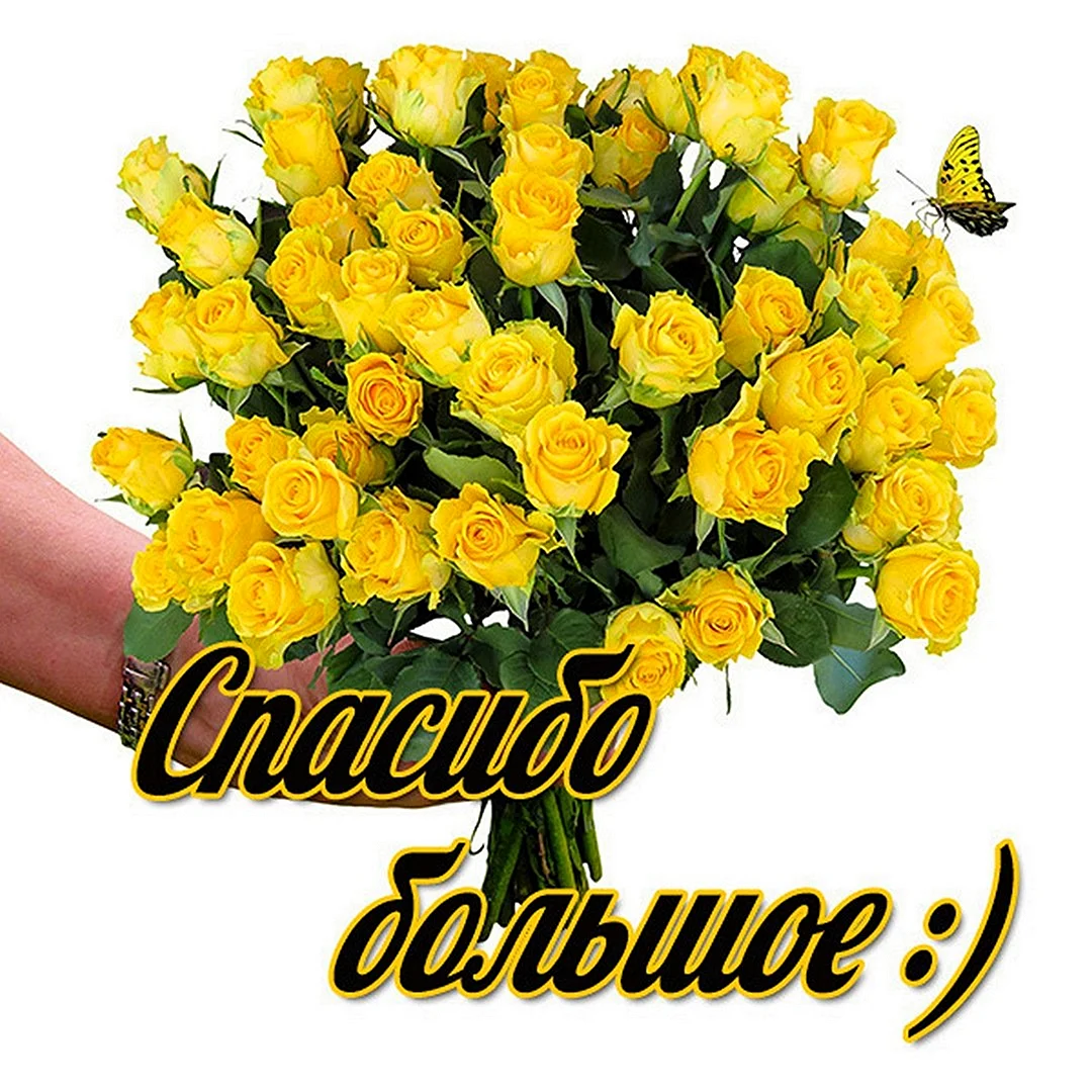 Благодарю за подарок