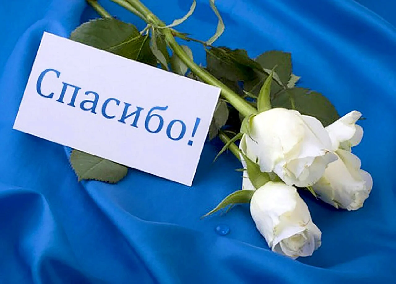 Благодарность картинки