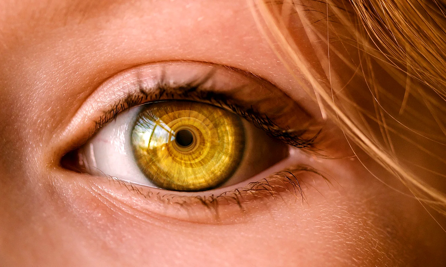 Болотный цвет глаз гетерохромия