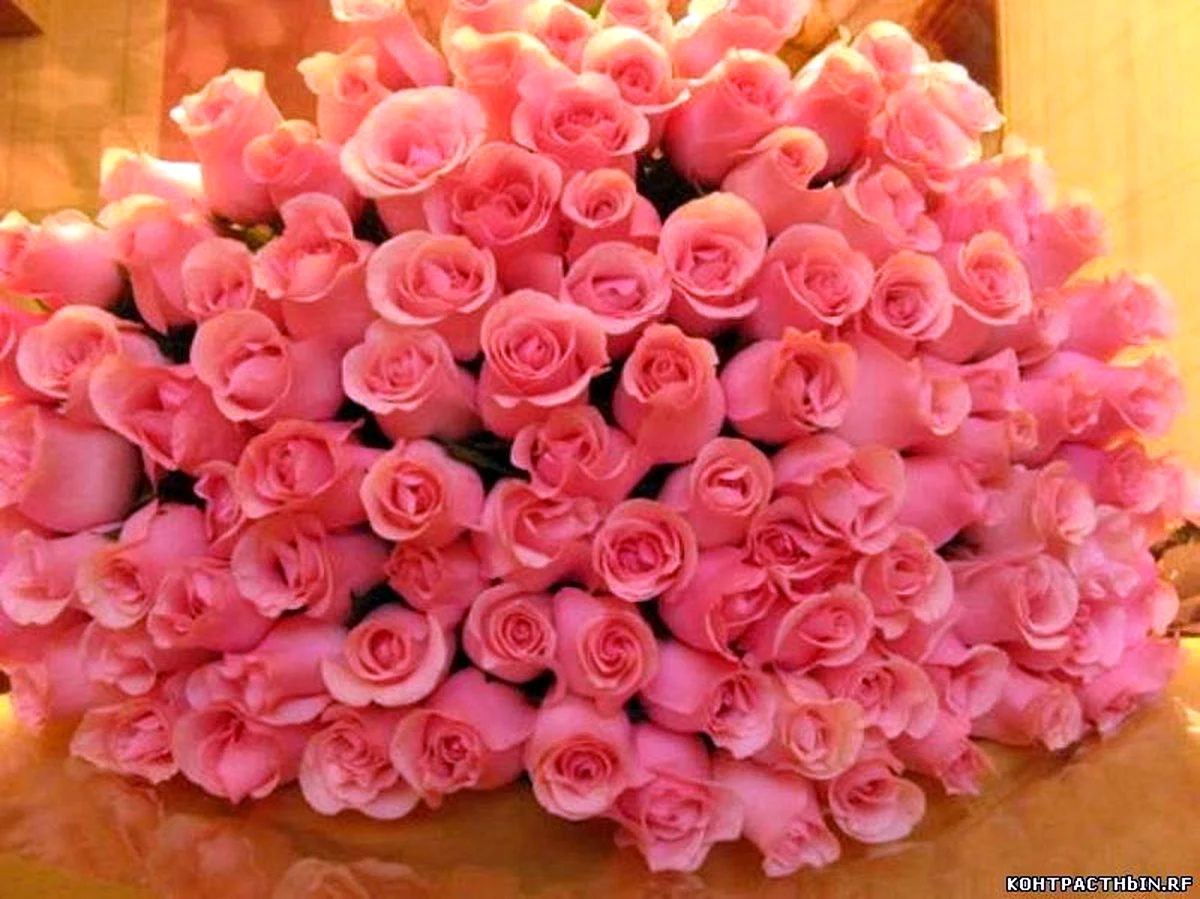 Большой букет роз с днем рождения