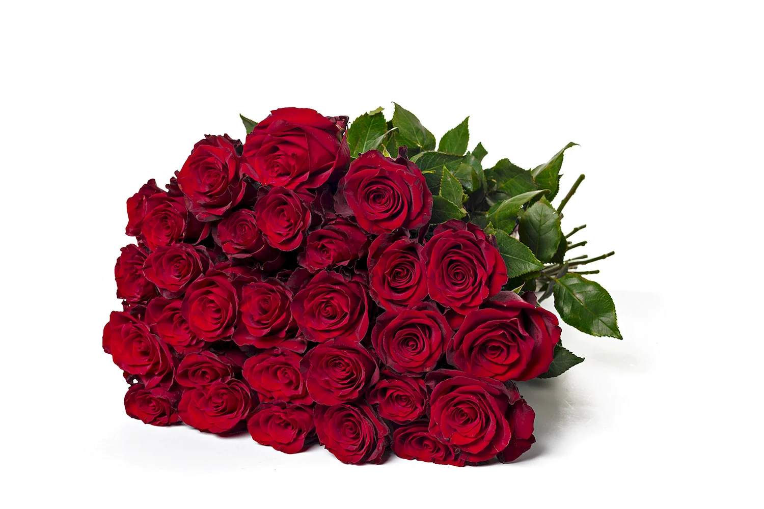 Букет красных роз на прозрачном фоне