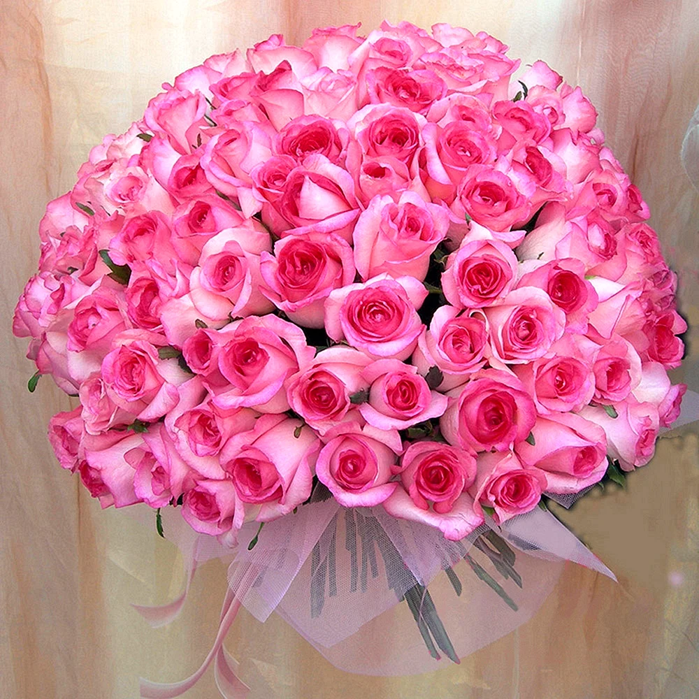 Букет роз большой и красивый