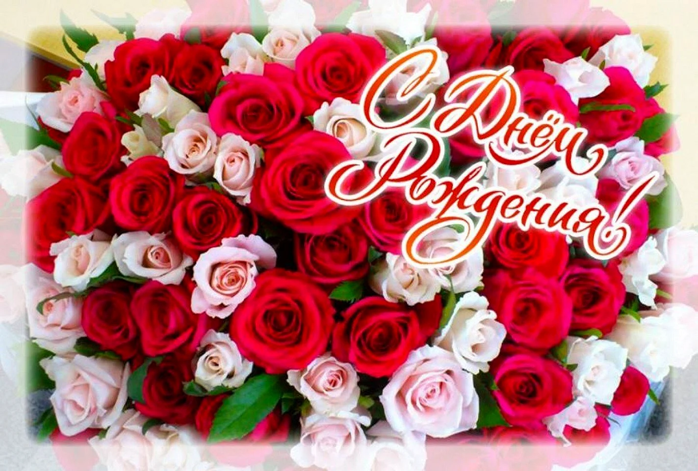 Открытки с розами на День Рождения