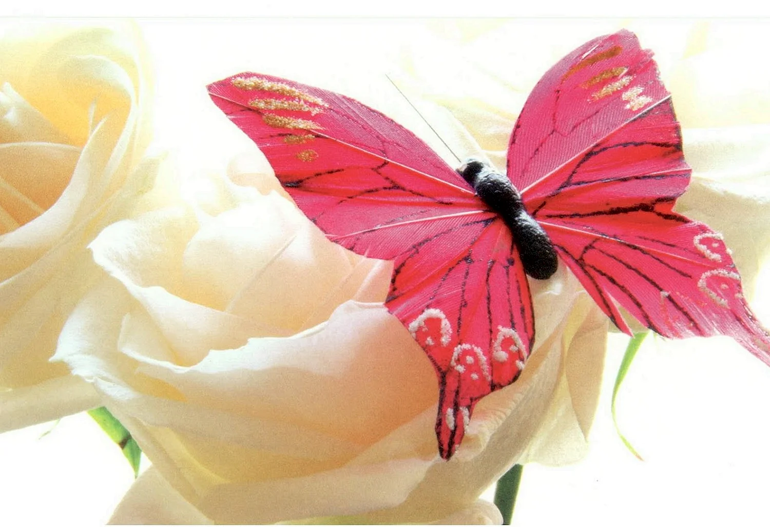 Открытка С Юбилеем! Розы, бабочки 1-41-474 А Мир открыток