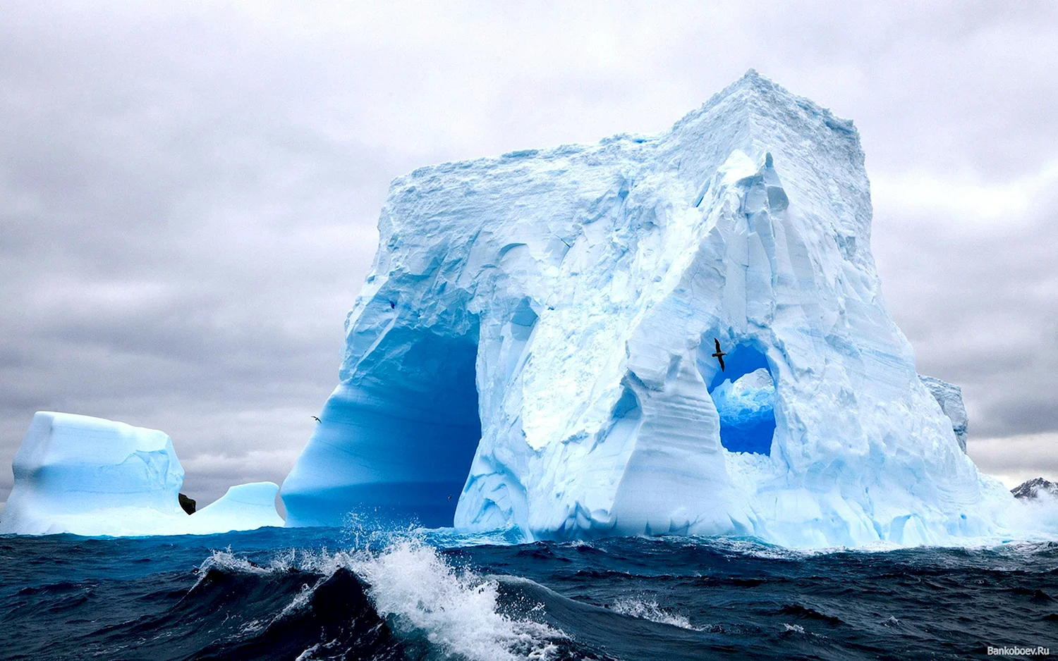 Бухта айсбергов Исландия