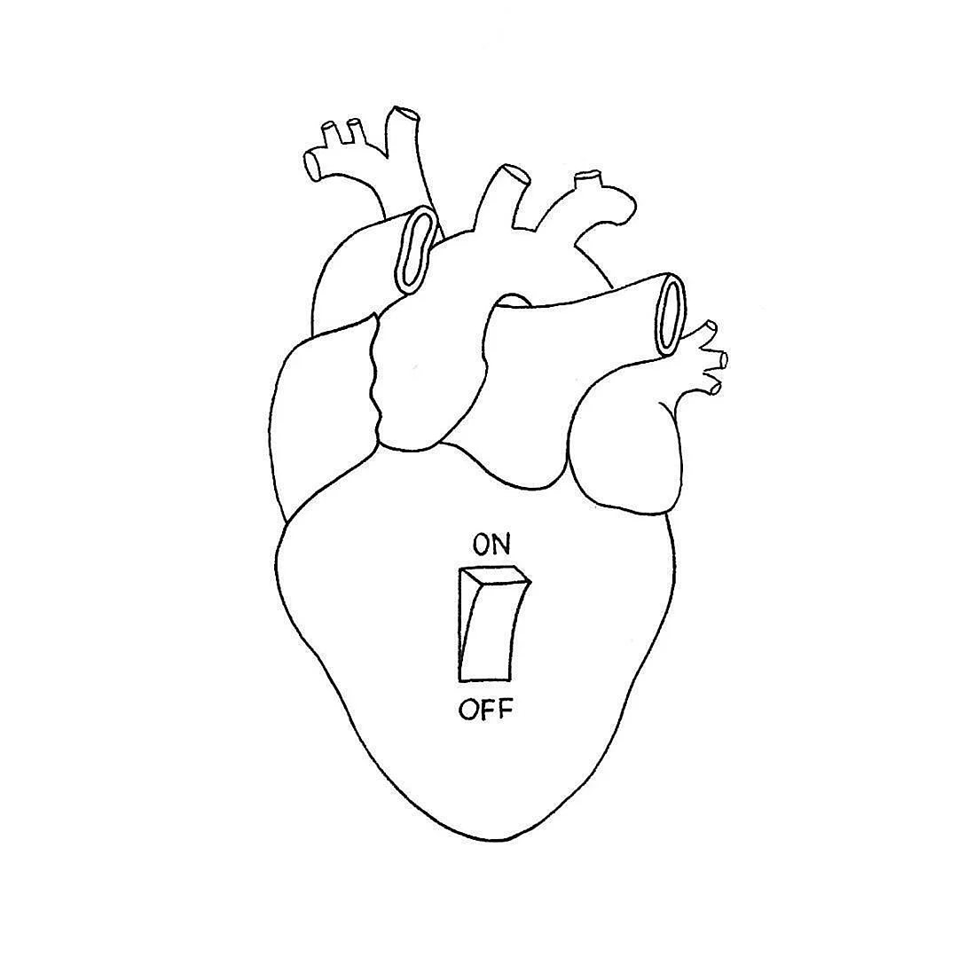 Человеческое сердце для срисовки