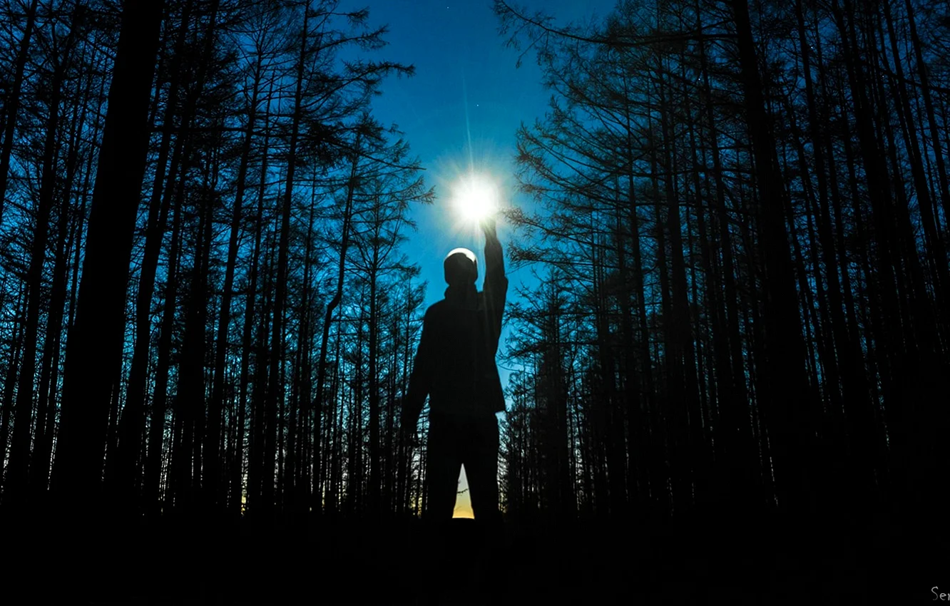 Человек в ночном лесу
