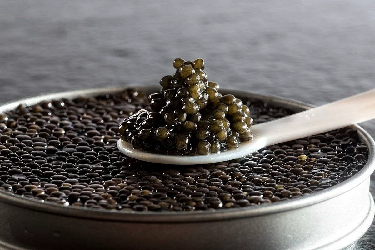 Черная икра Caviar осетр