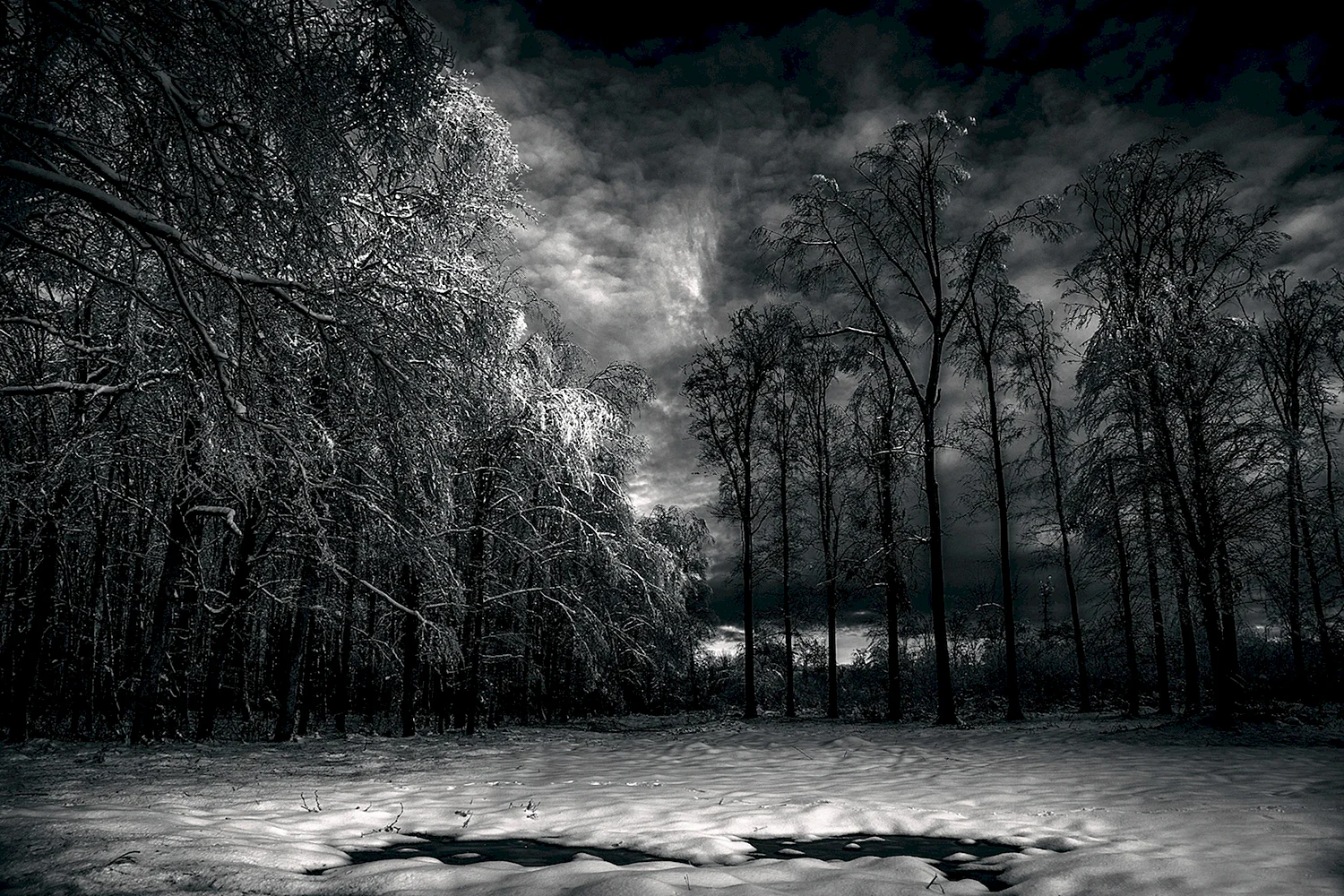 Чёрный лес Шварцвальд зима