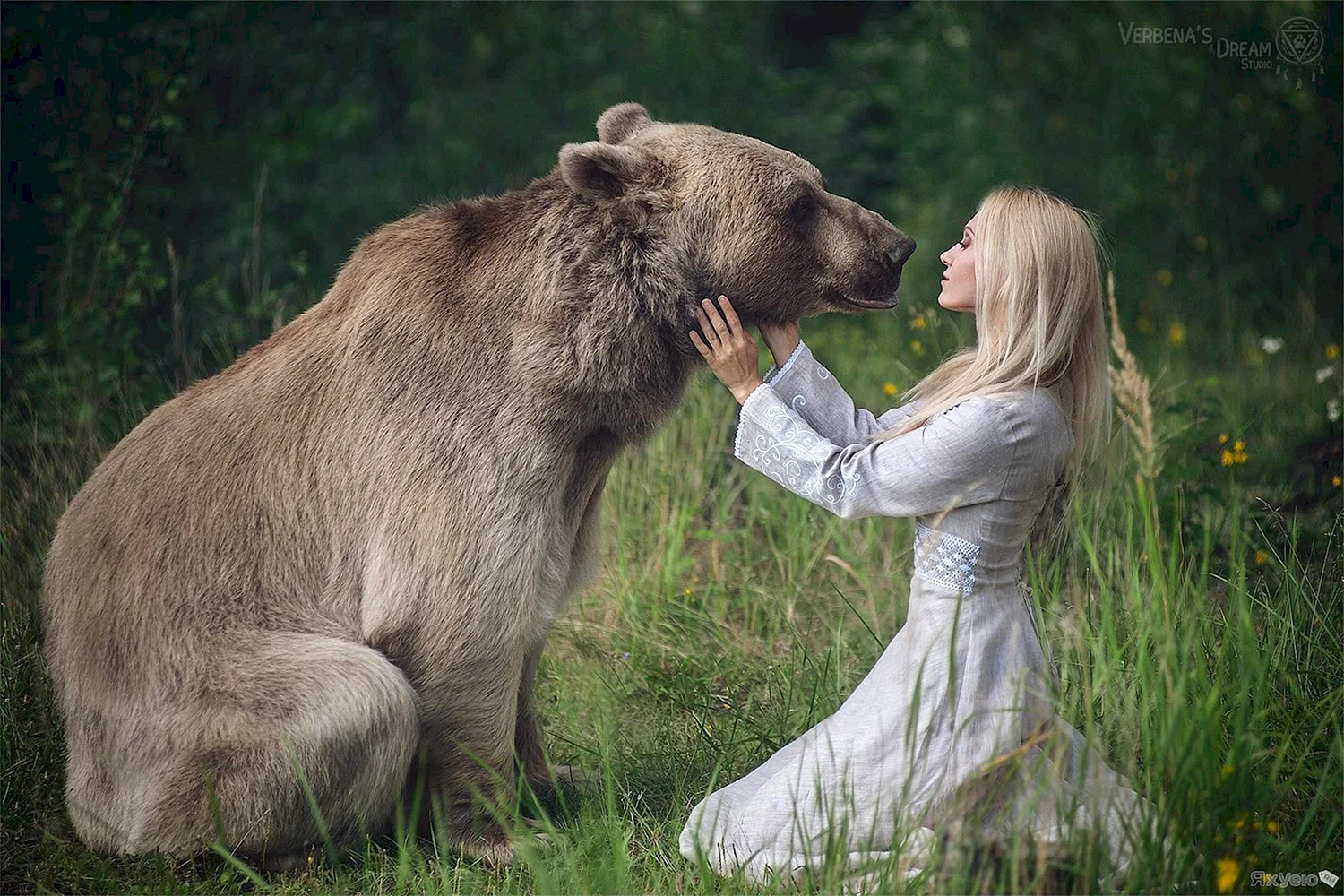 Дарья Лефлер медведь