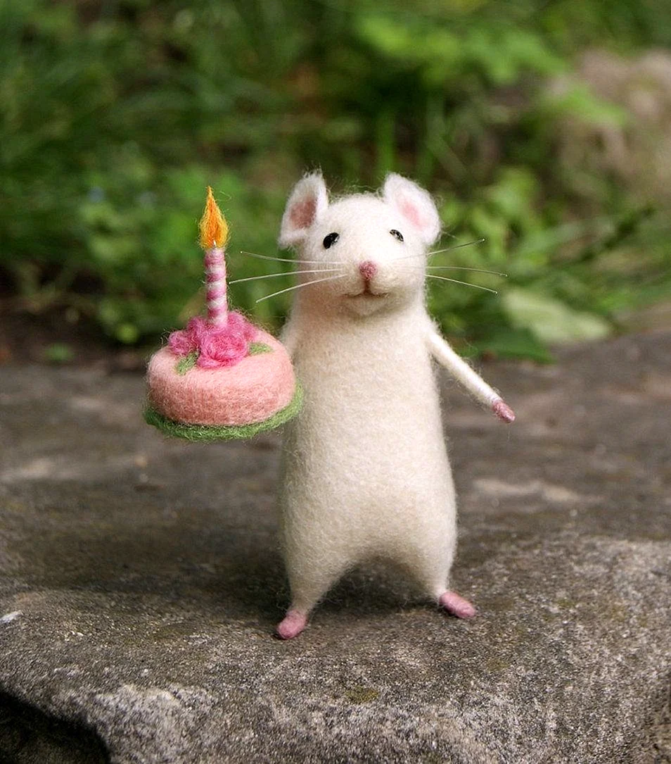 День рождения мышонка