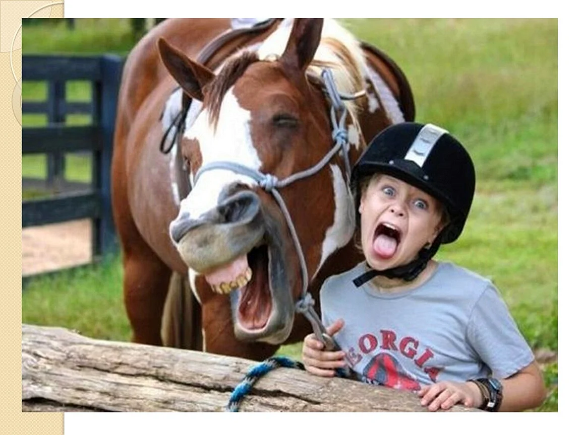 Дети и лошади Веселые