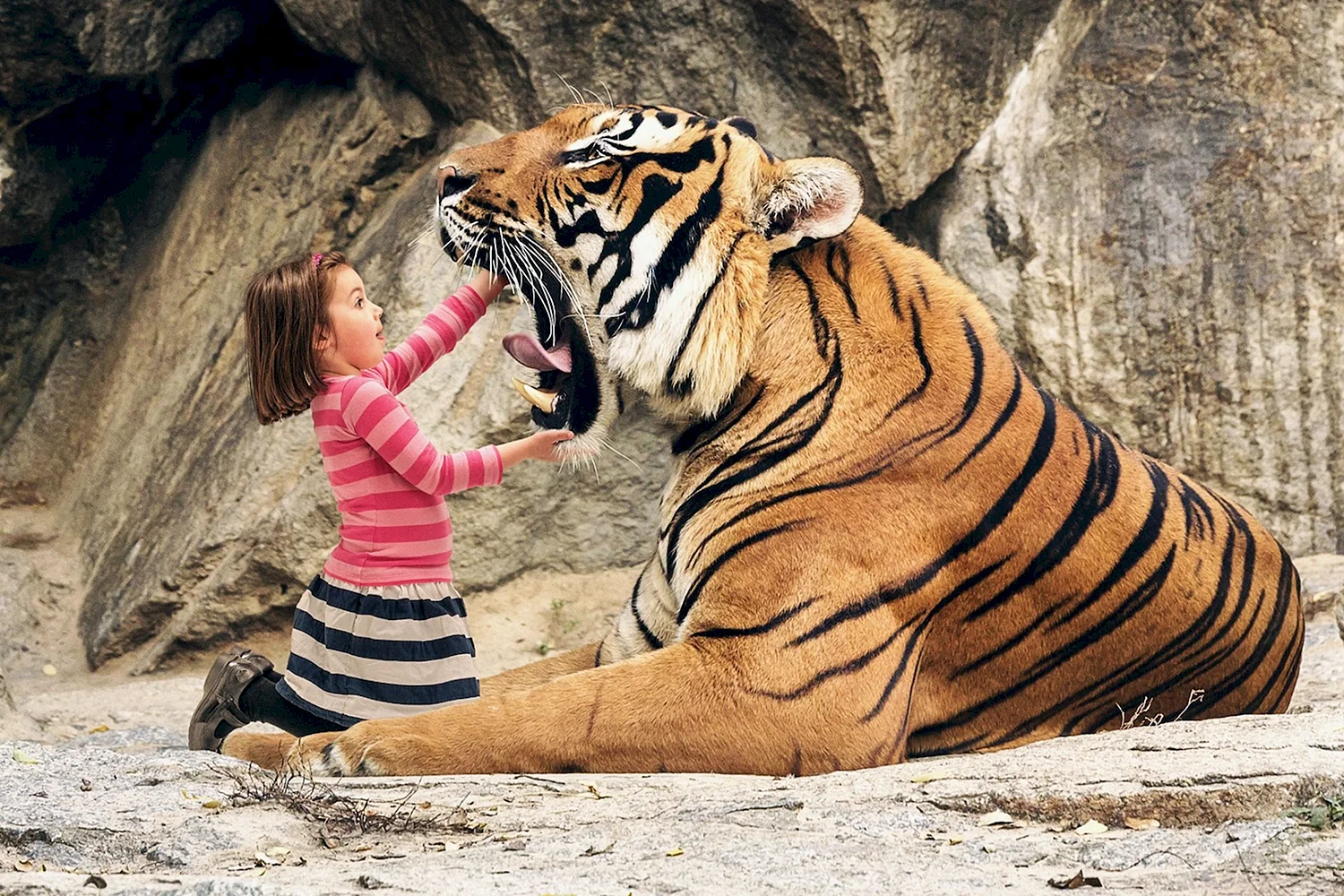 Девочка и тигр