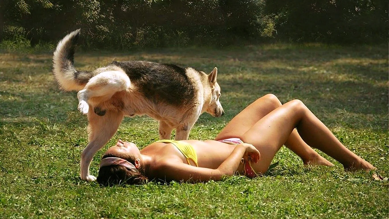 Девушка и собака смешно