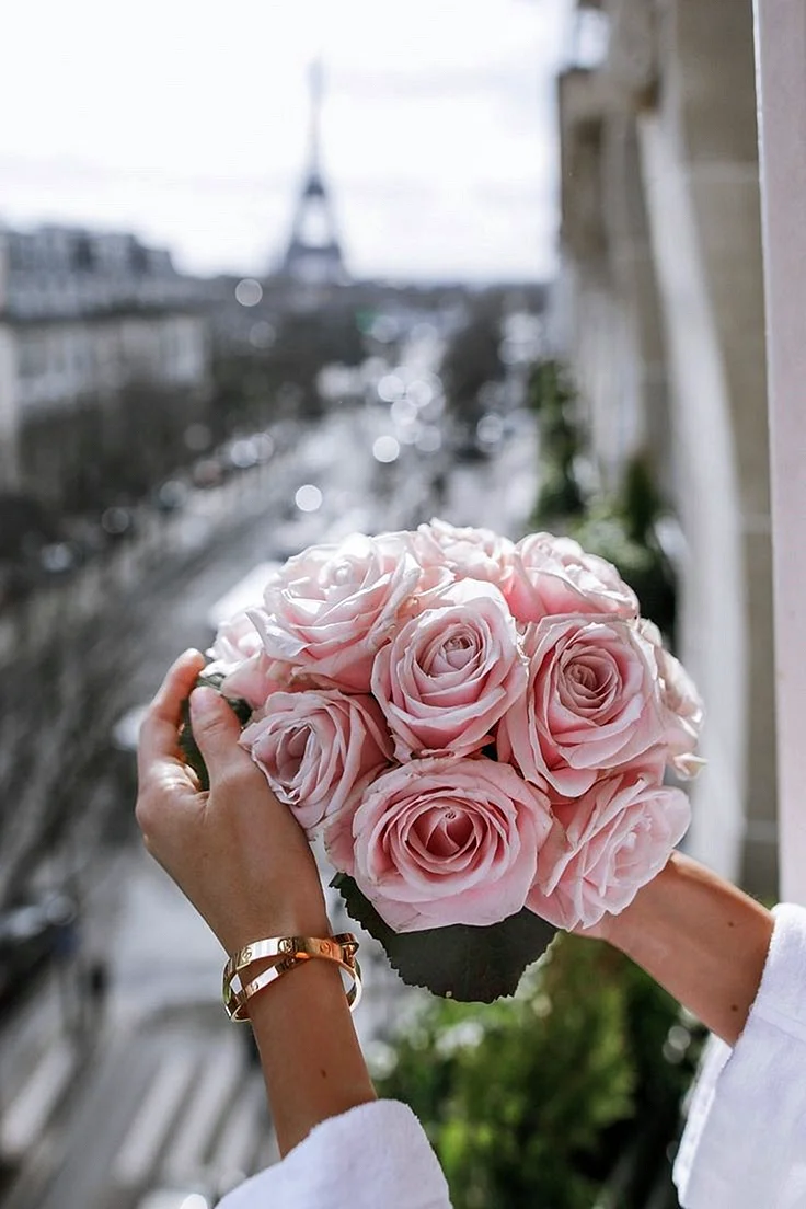 Девушка с розой в Париже