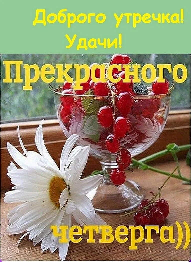 Доброе утро четверга