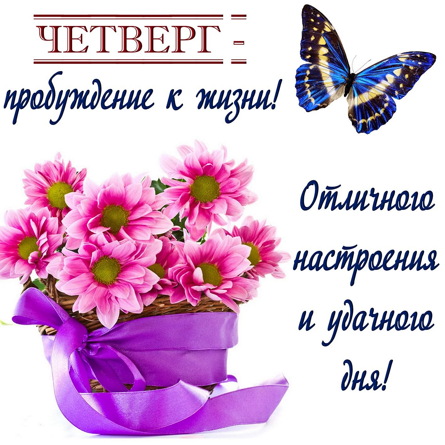 Доброе утро четверга