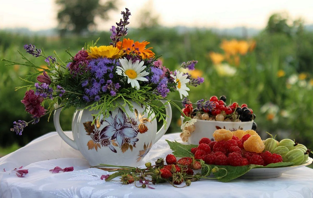 Доброе утро, полевые цветы и ягоды.