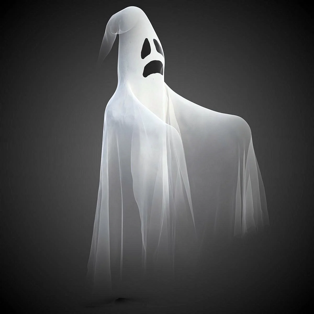 Дух призрак