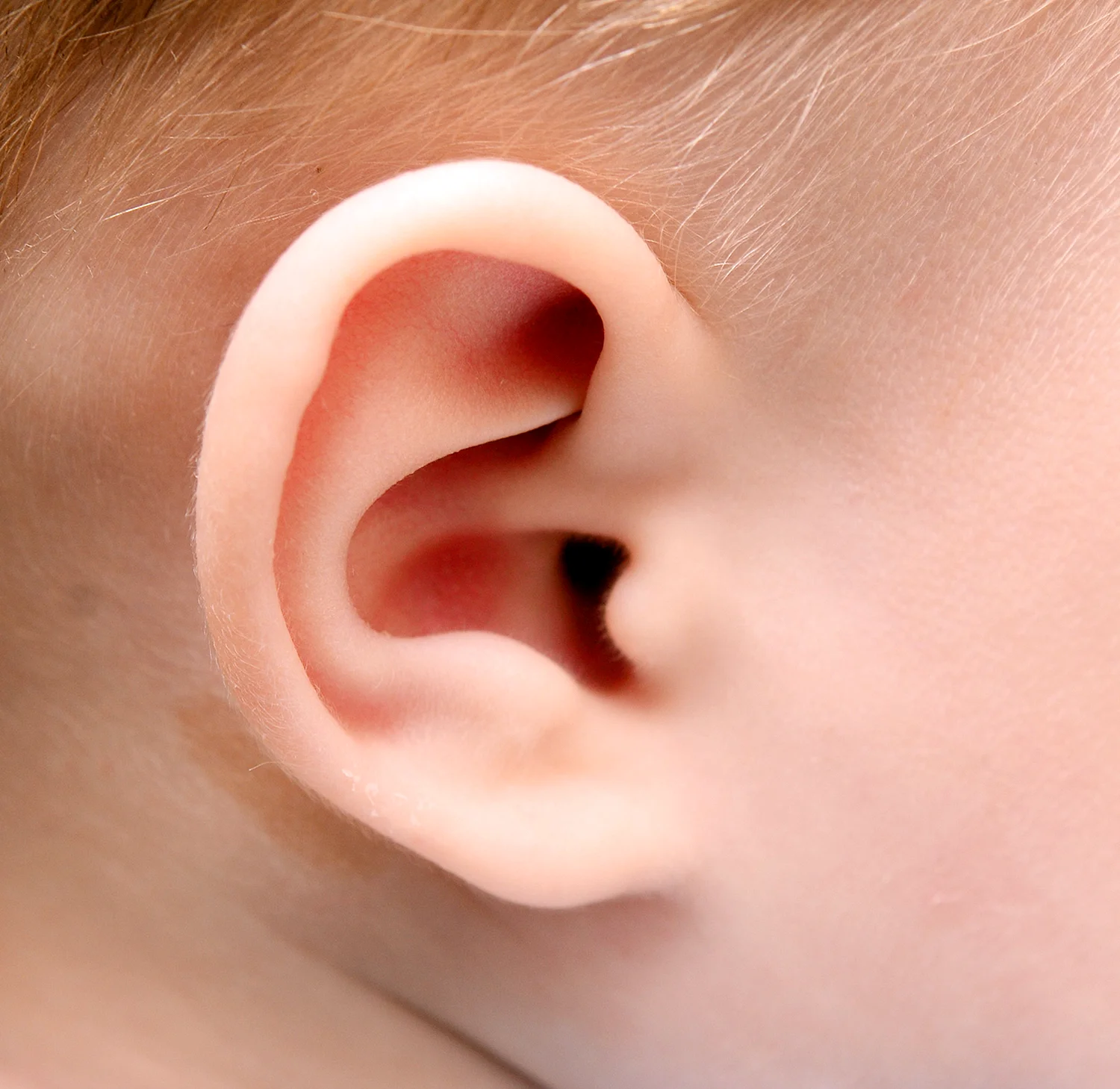 Ears для детей