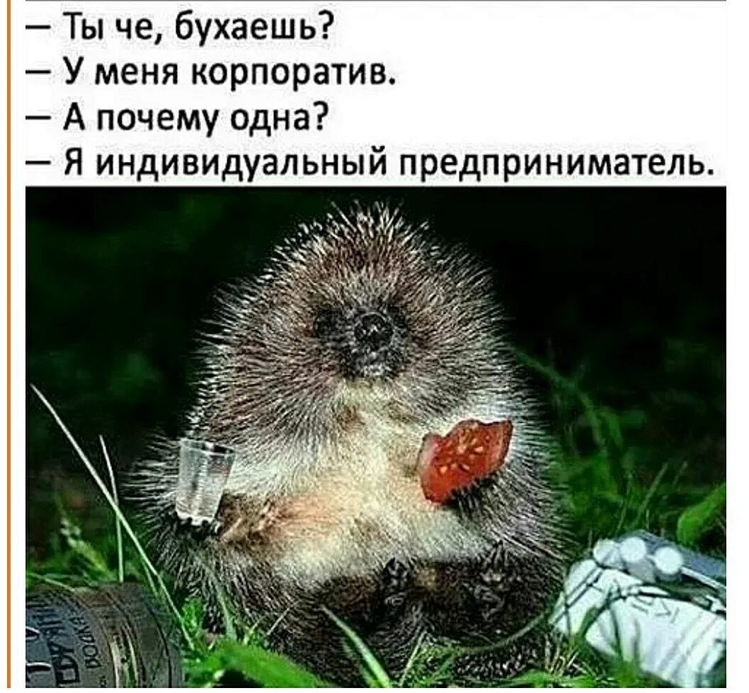 Ежик алкоголик
