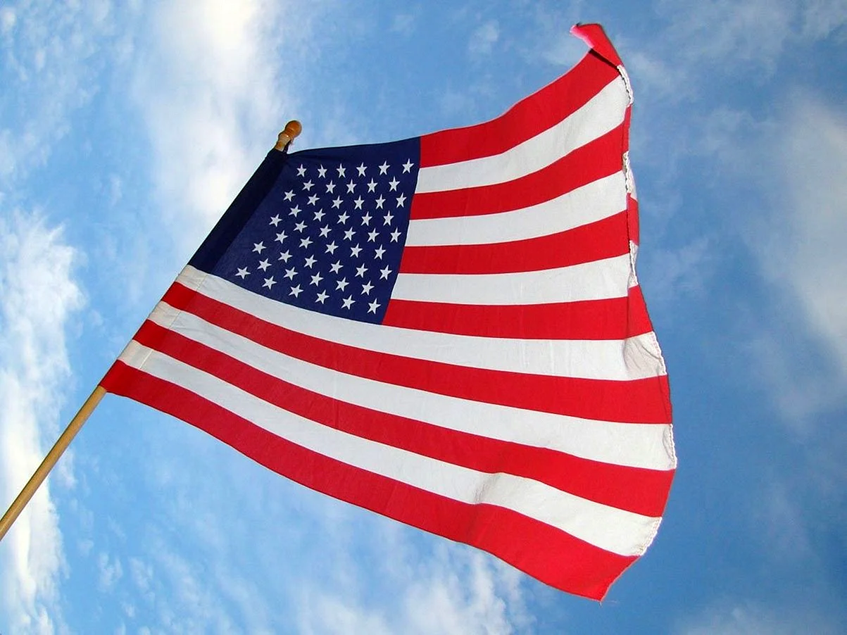 Флаг США Штандарт
