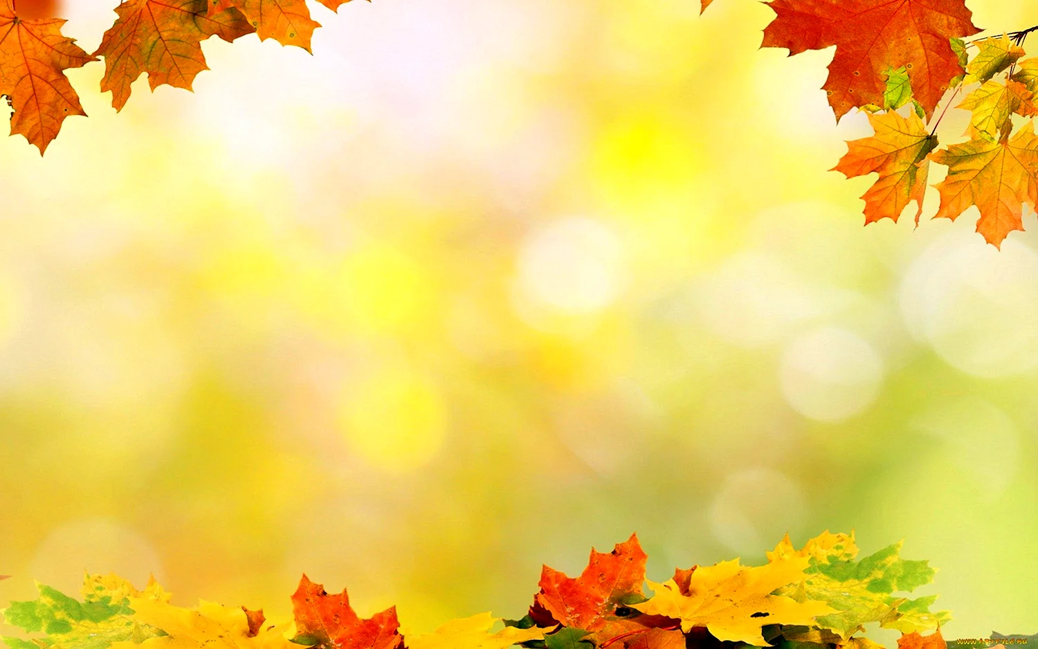 Фон рефератных листов про осень
