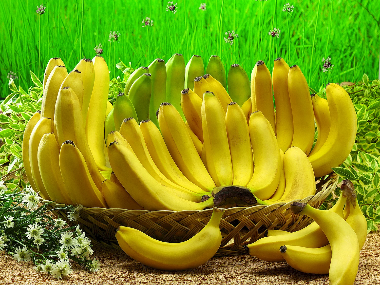 Фрукты банан