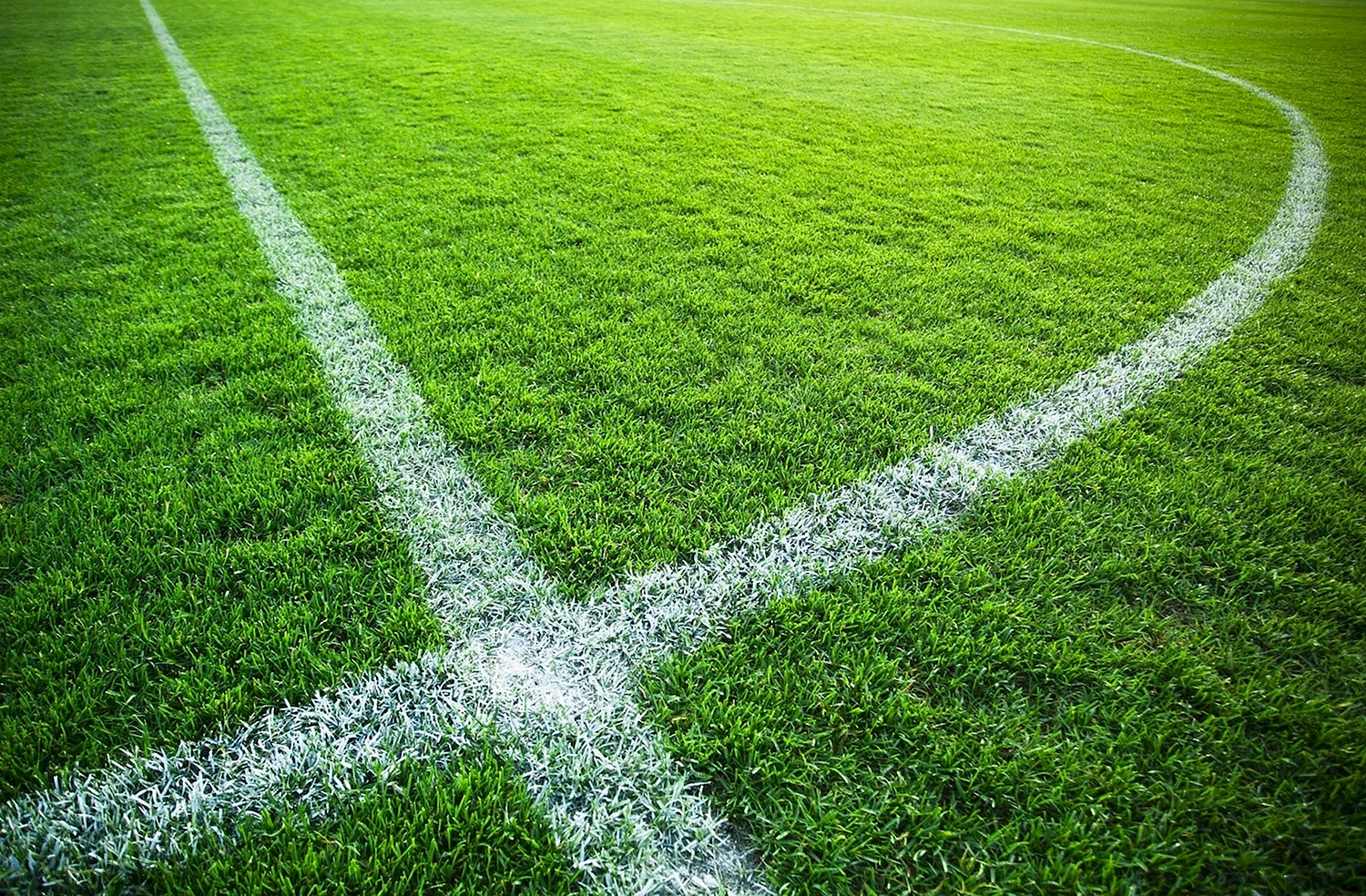 Футбольное поле газон