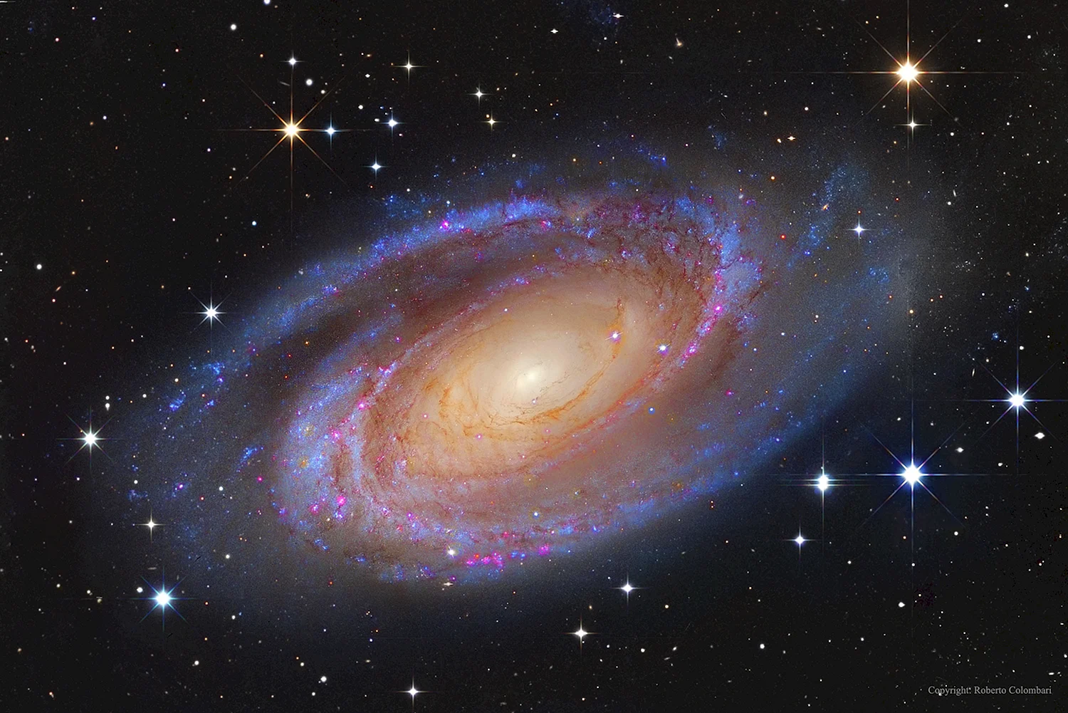 Galaxy m81