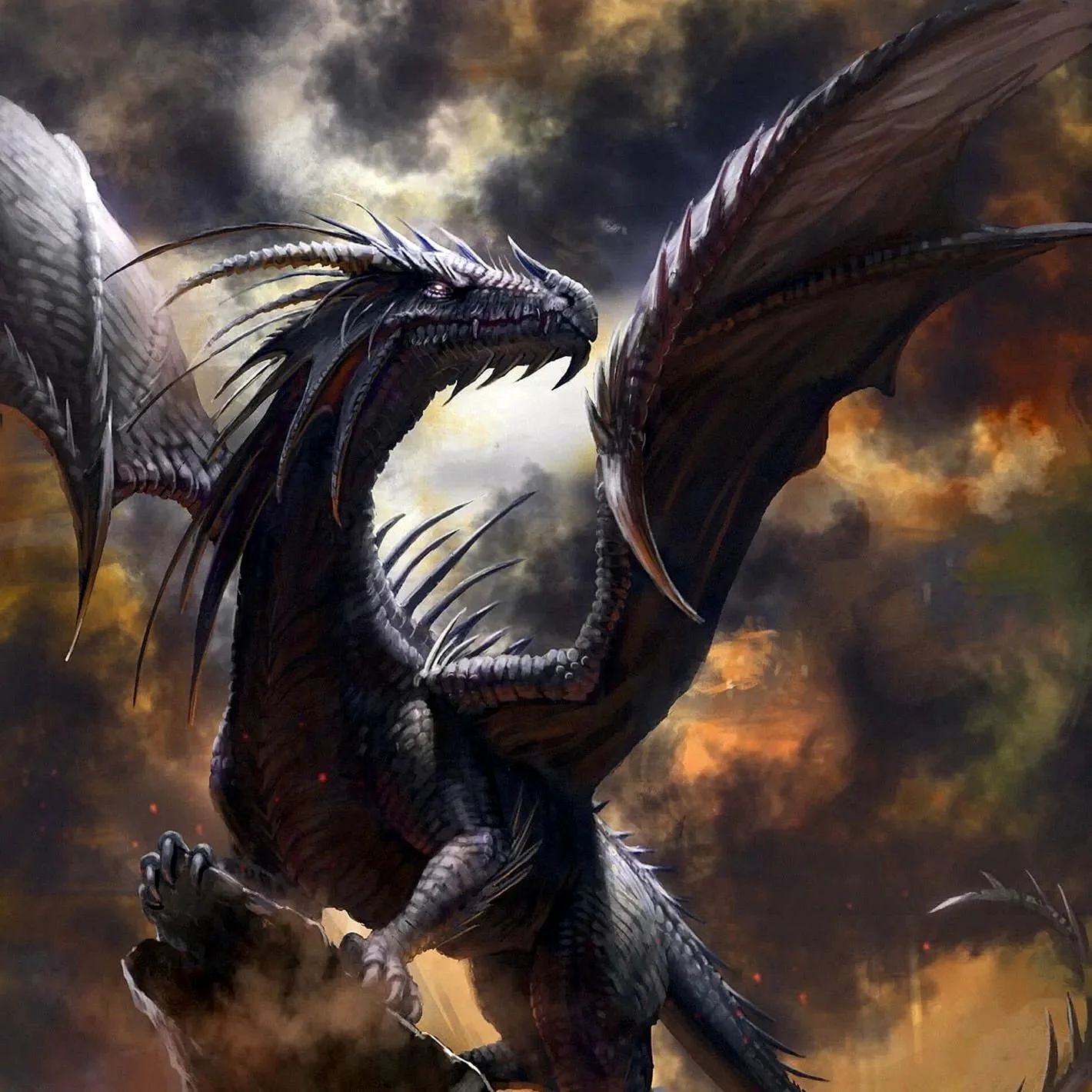 Гебридский чёрный дракон из Гарри Поттера