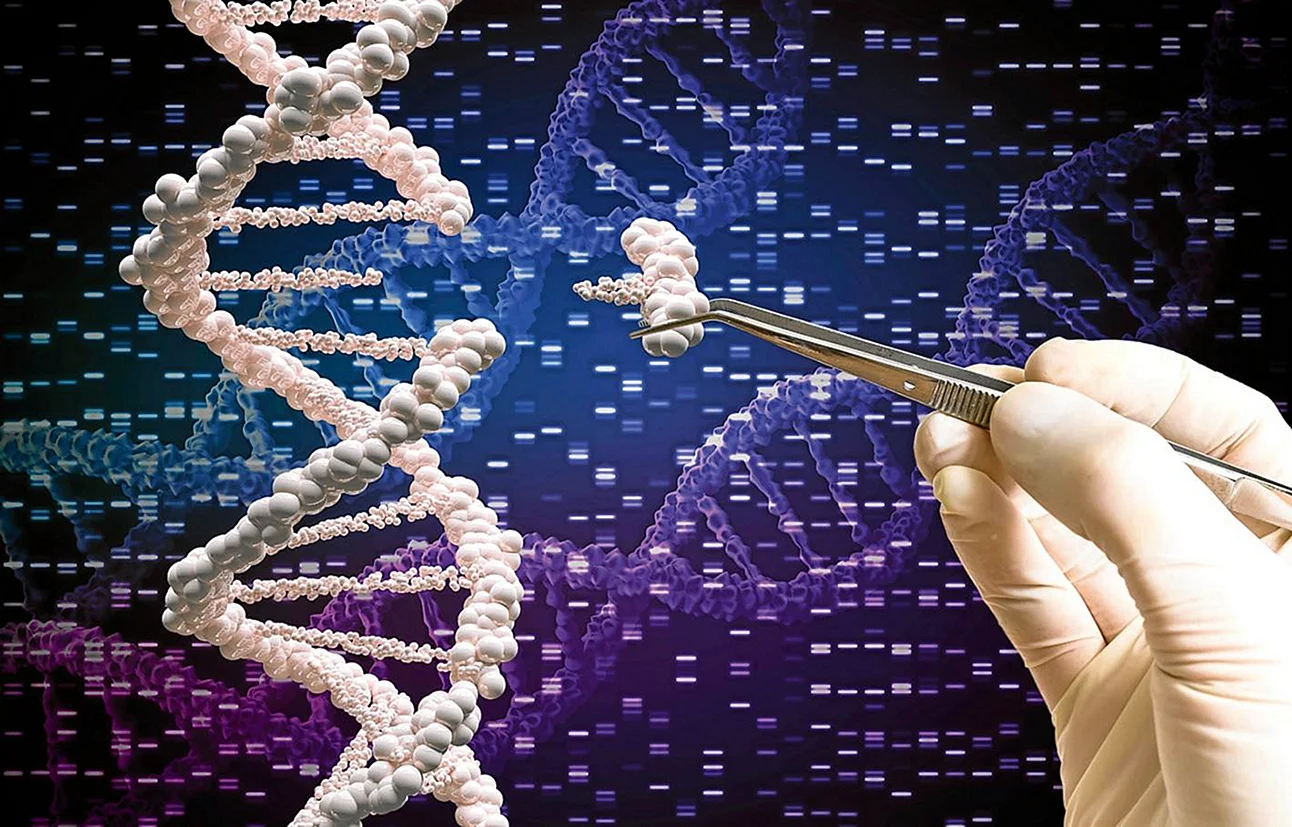 Генетика CRISPR