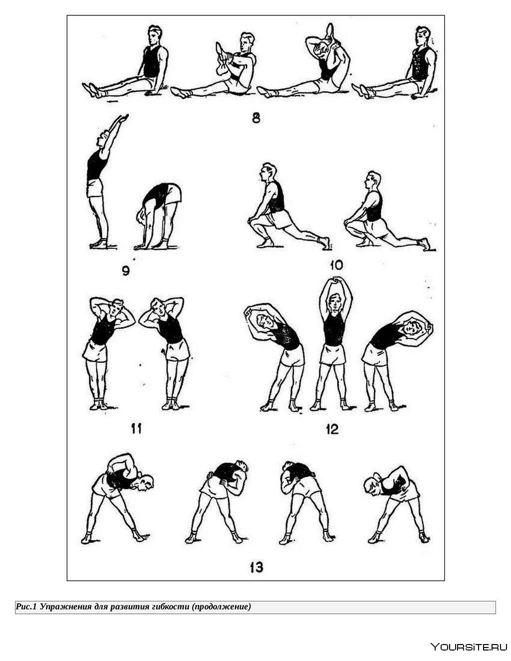Гимнастика комплекс упражнений для гибкости