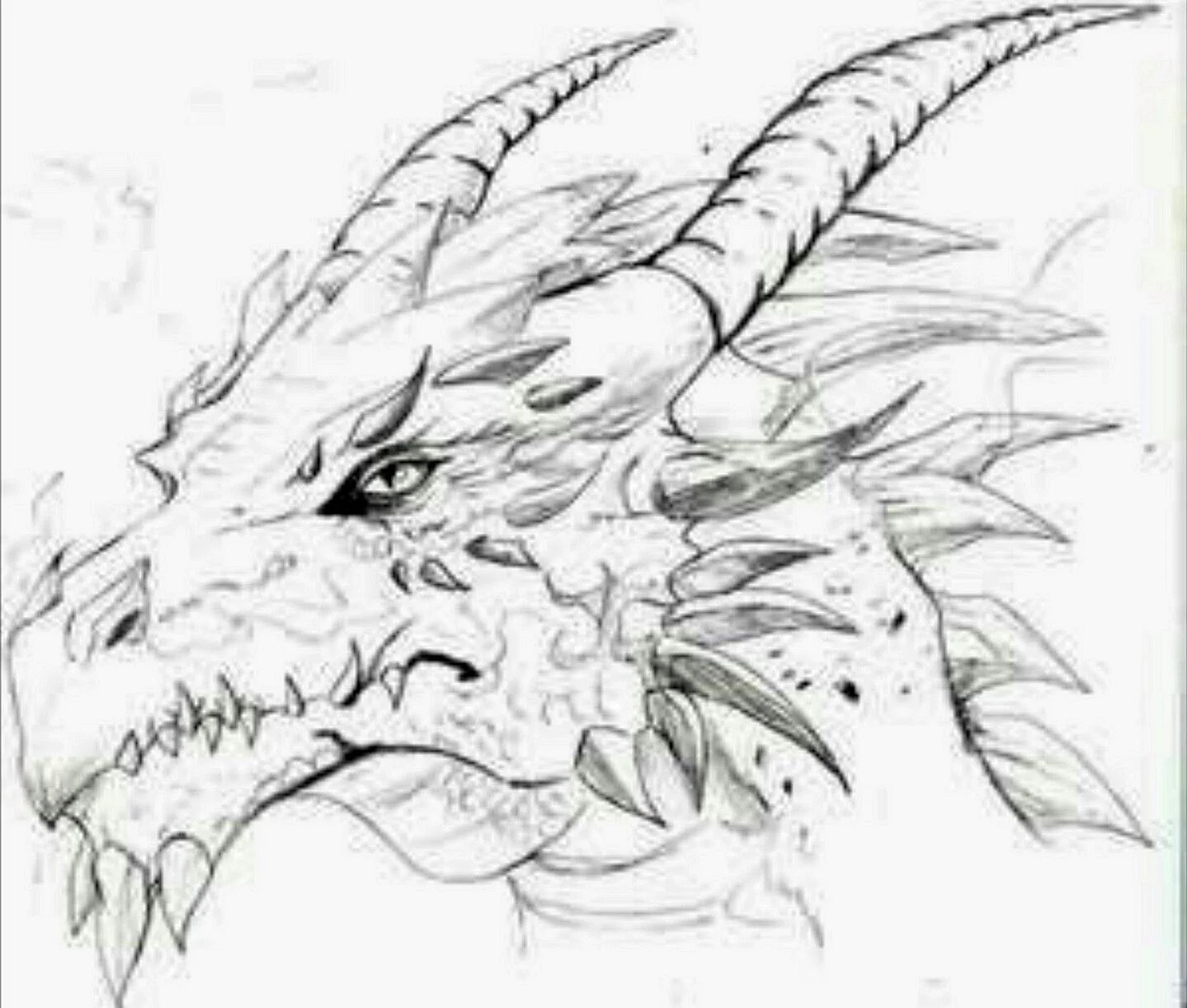 Голова дракона карандашом