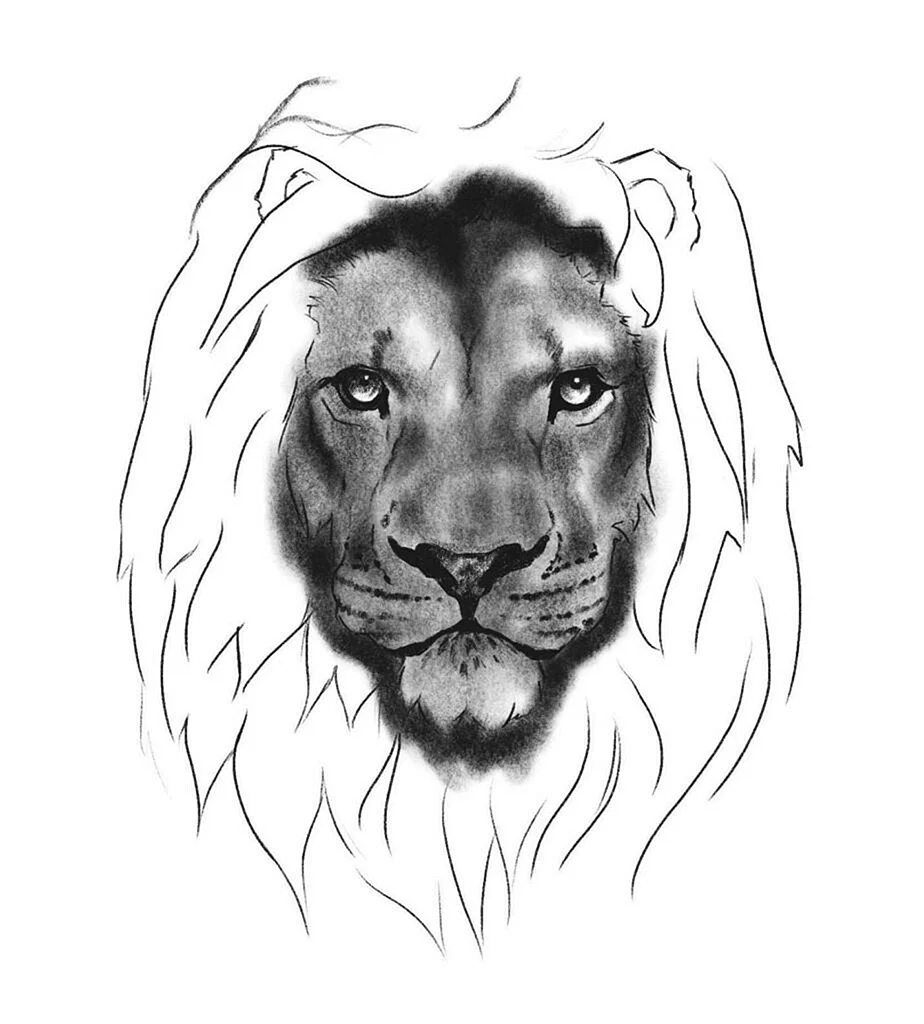 Голова Льва рисунок карандашом