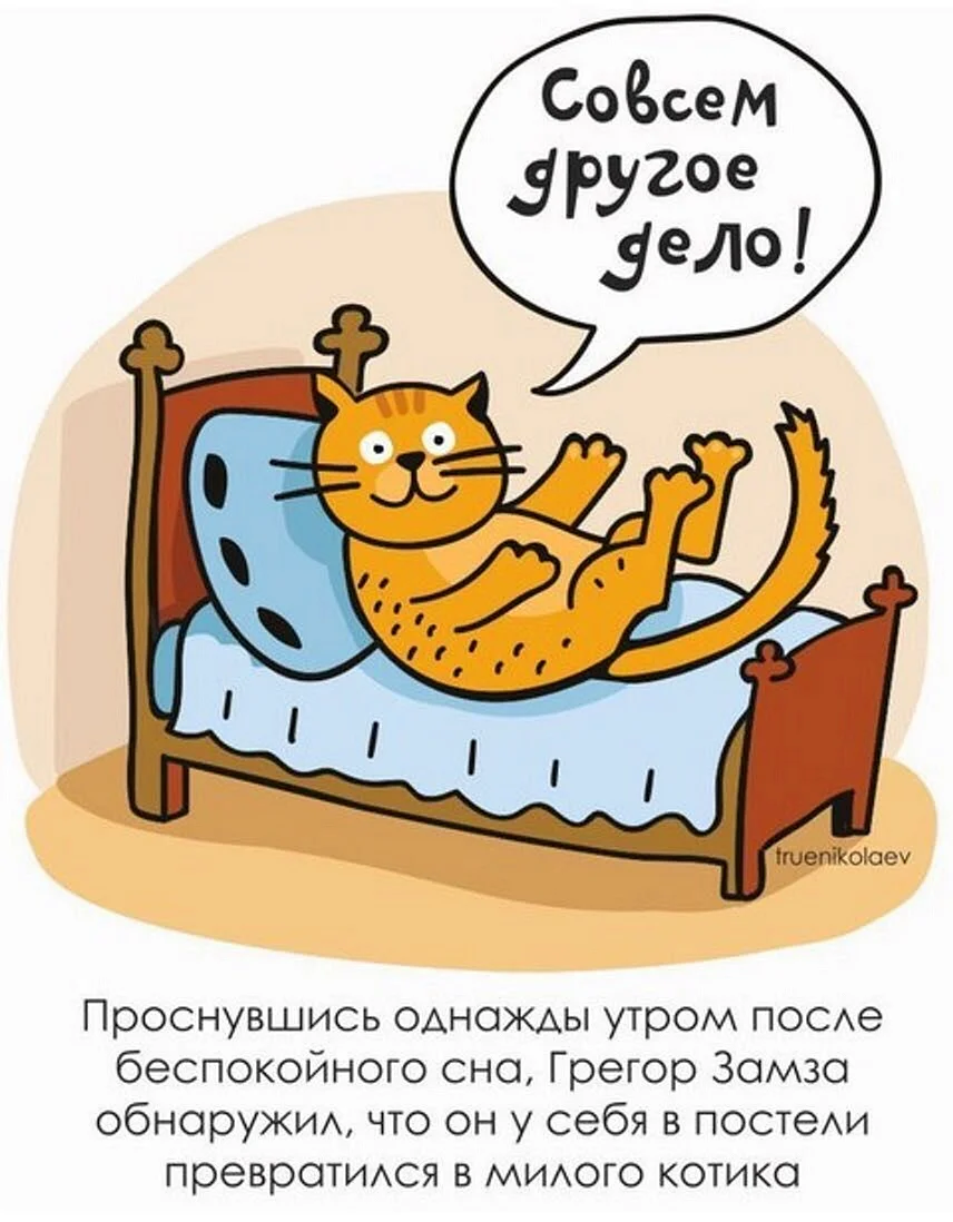 Грегор Замза котик