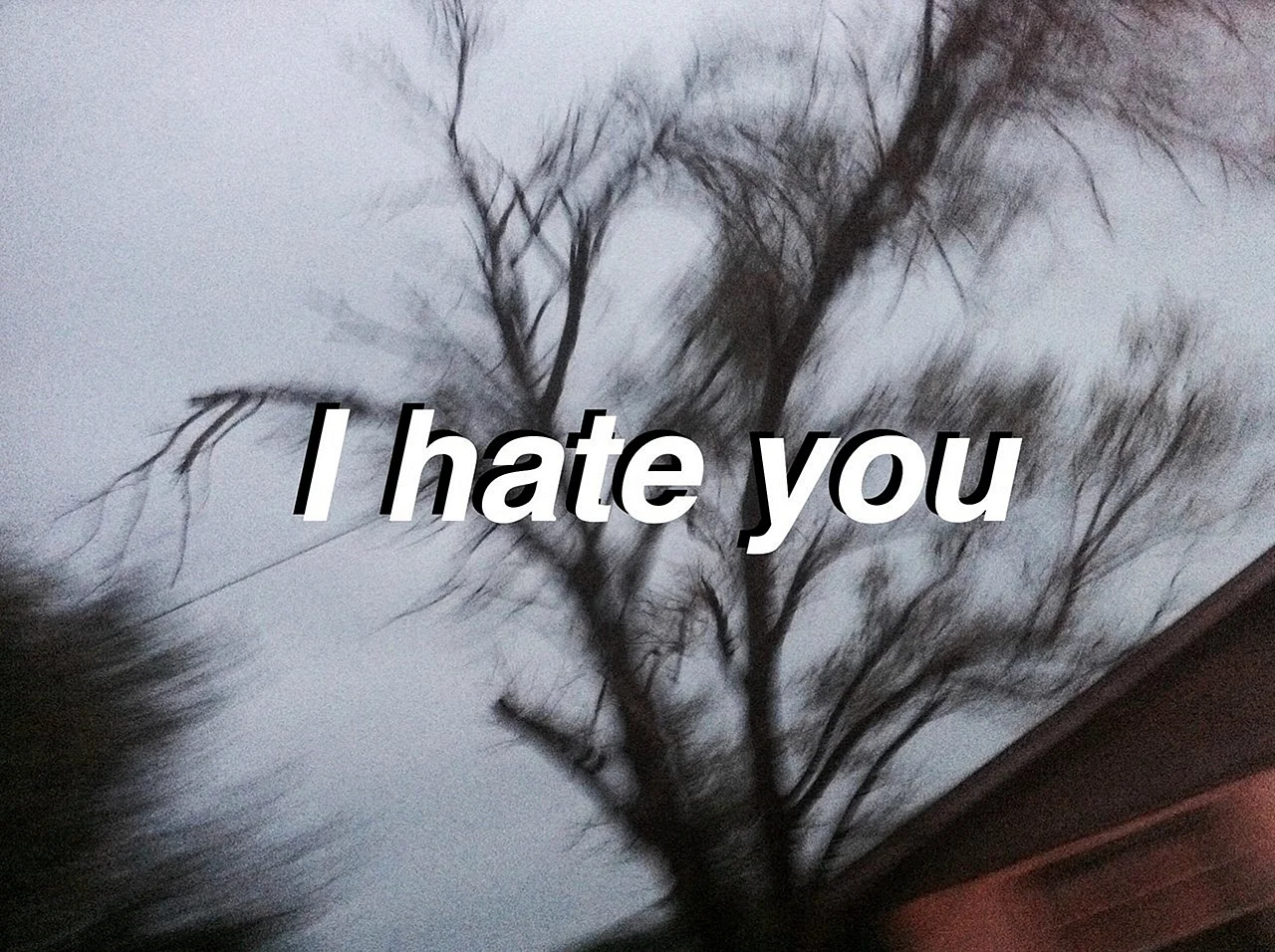 Я тебя ненавижу