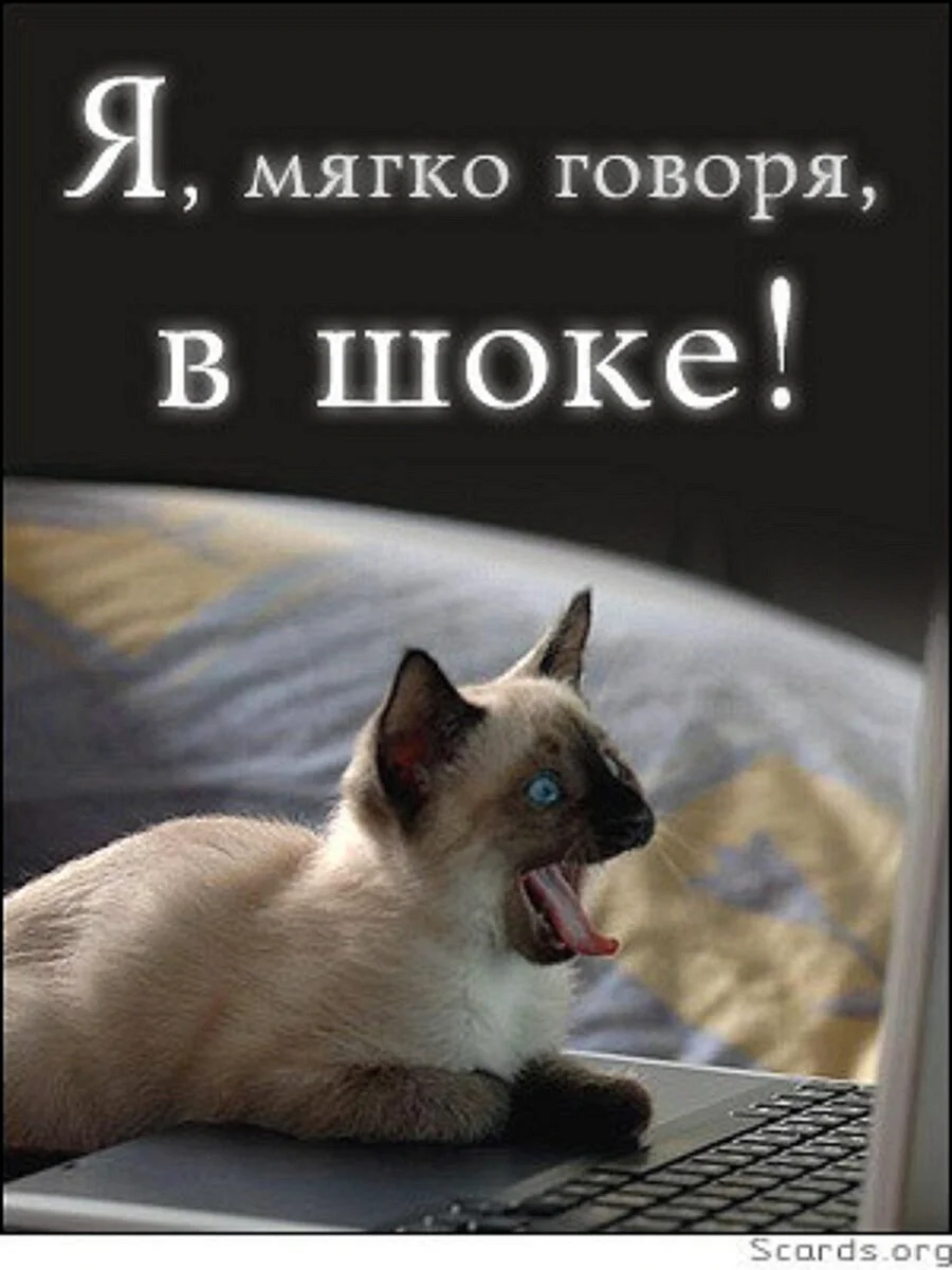 Я В шоке