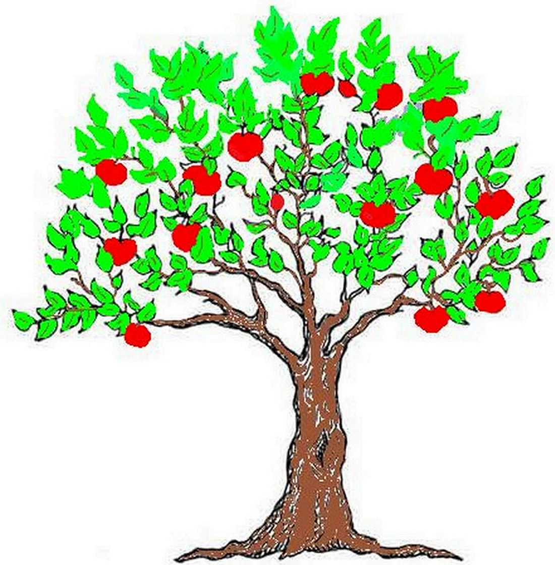 Яблоня дерево