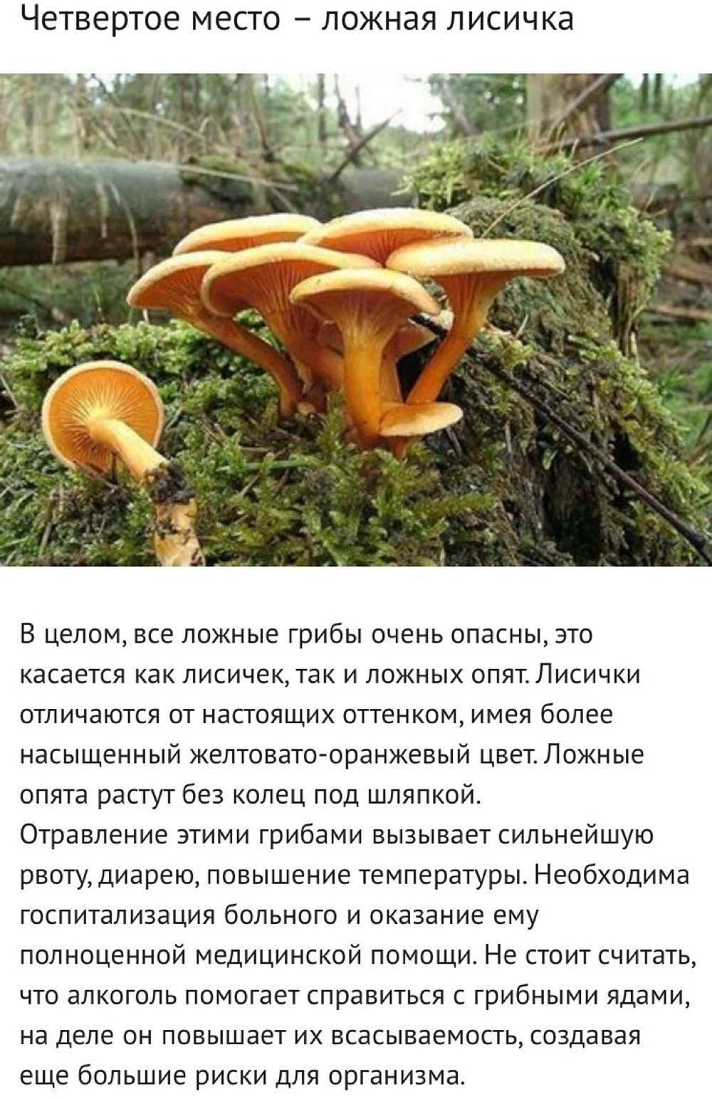 Ядовитые грибы ложная Лисичка