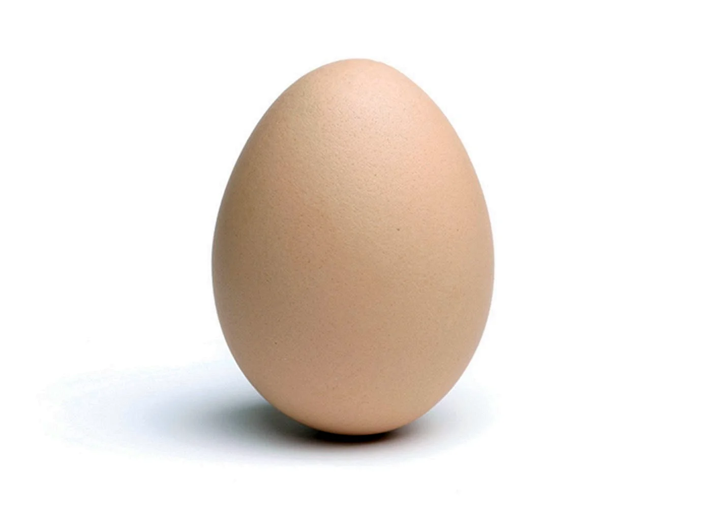 Лапки яйцо. Яйцо куриное. Яйцо на белом фоне. Яйцо для детей. Яйцо без фона.