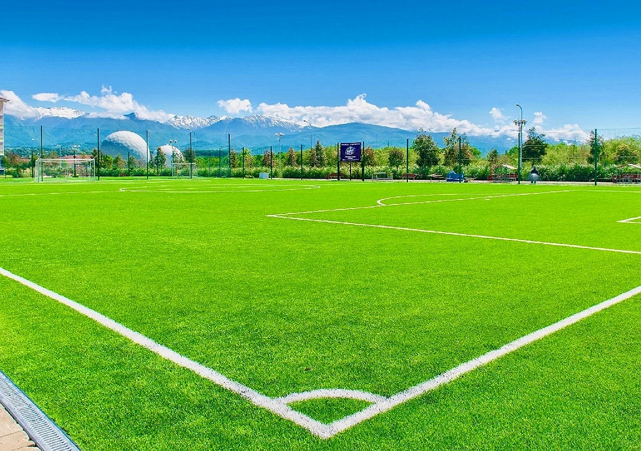 Имеретинский отель Сочи футбольные поля