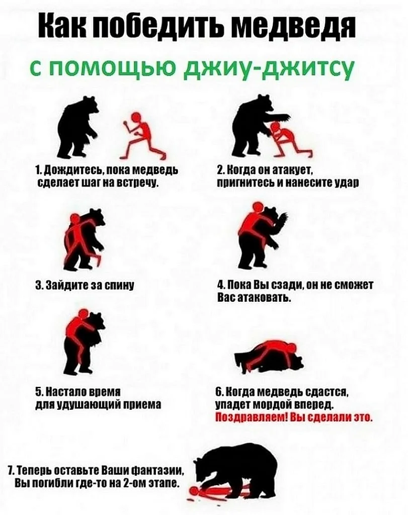Инструкция по борьбе с медведем