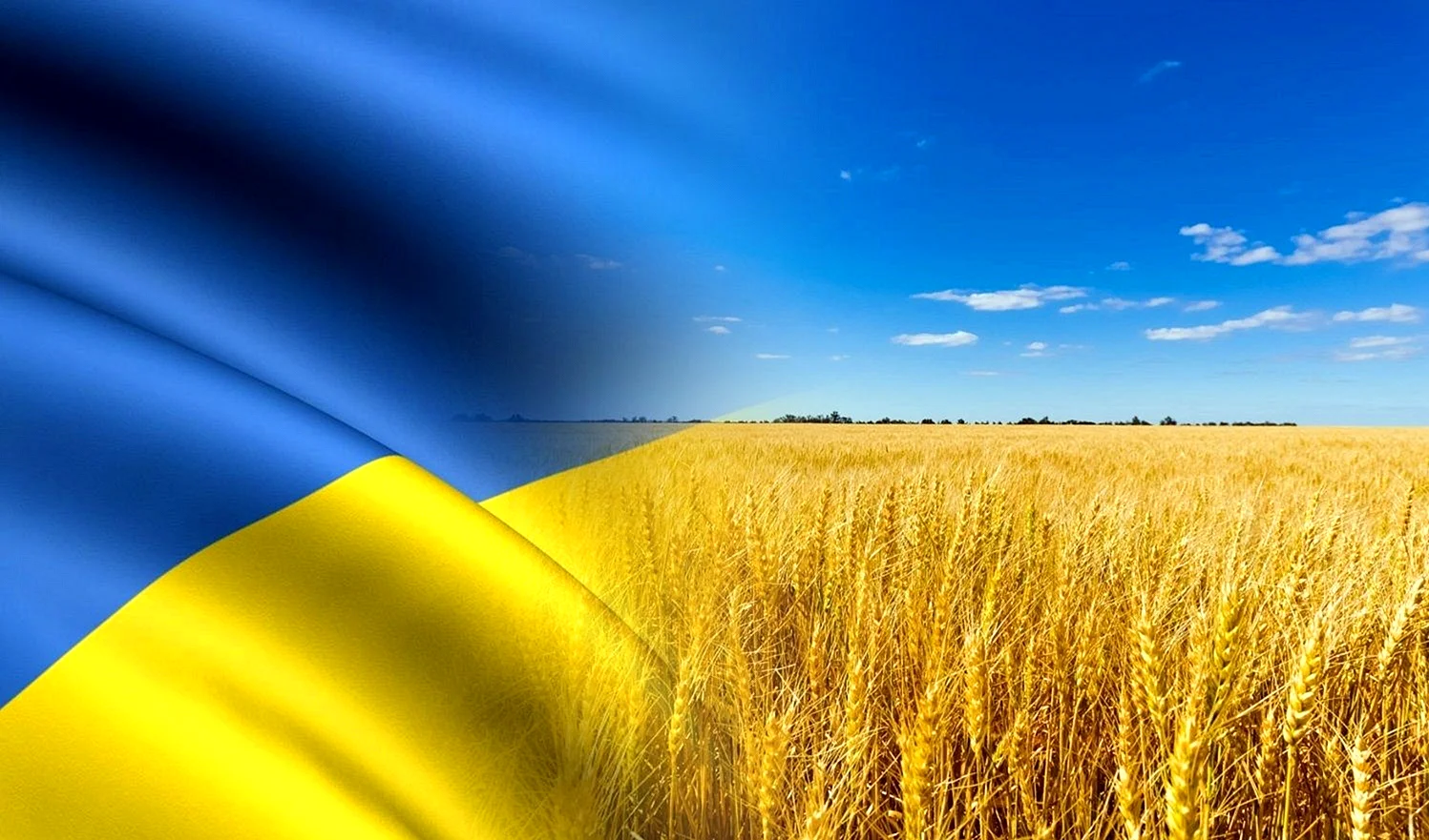 Із днем Незалежності України