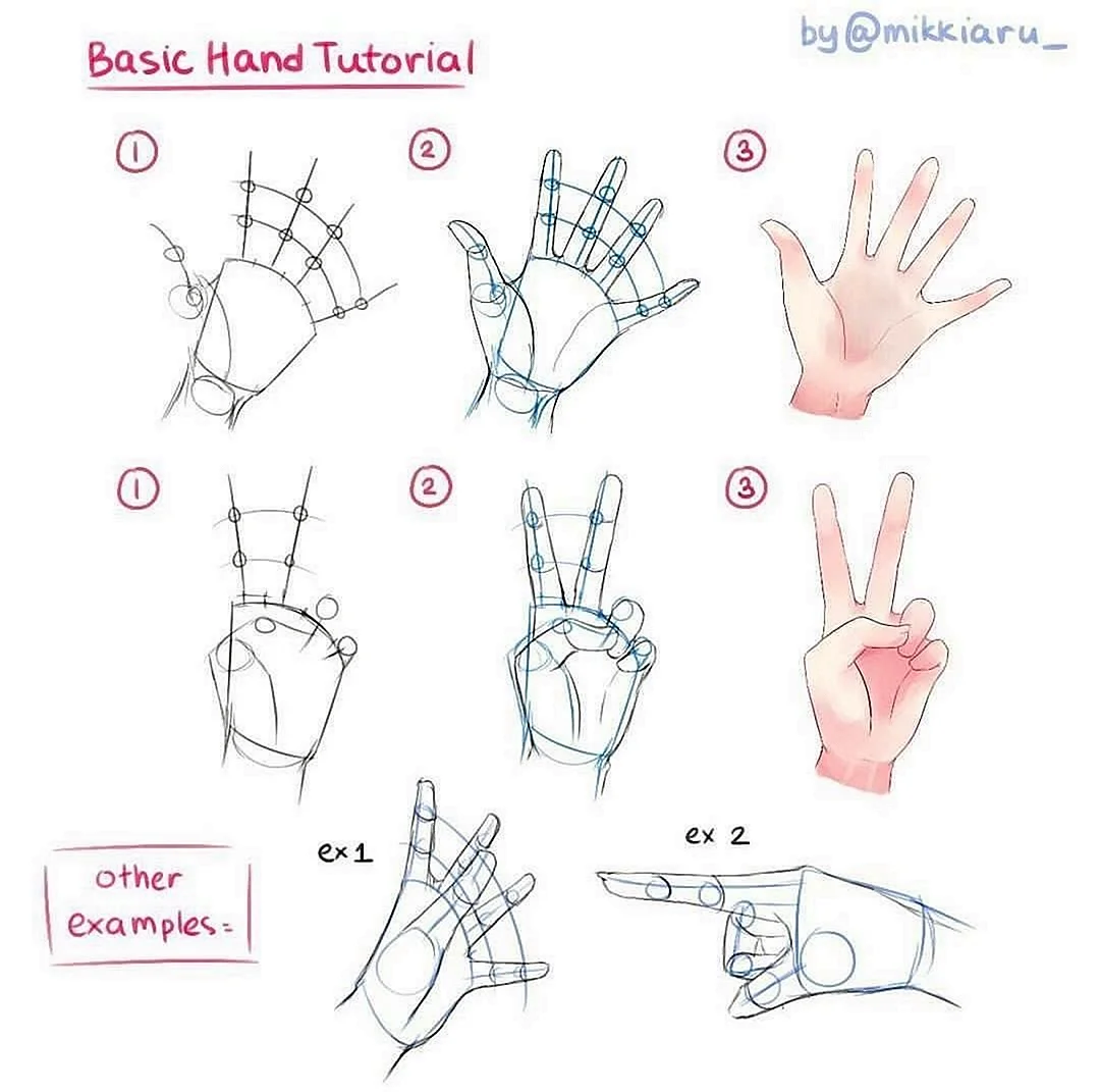 Как нарисовать кисть руки просто