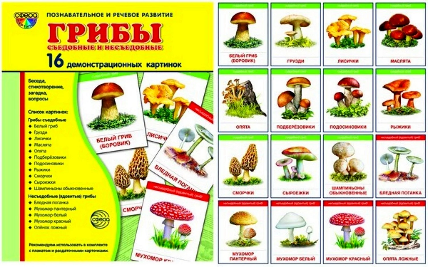 Карточки съедобные и несъедобные грибы для детей