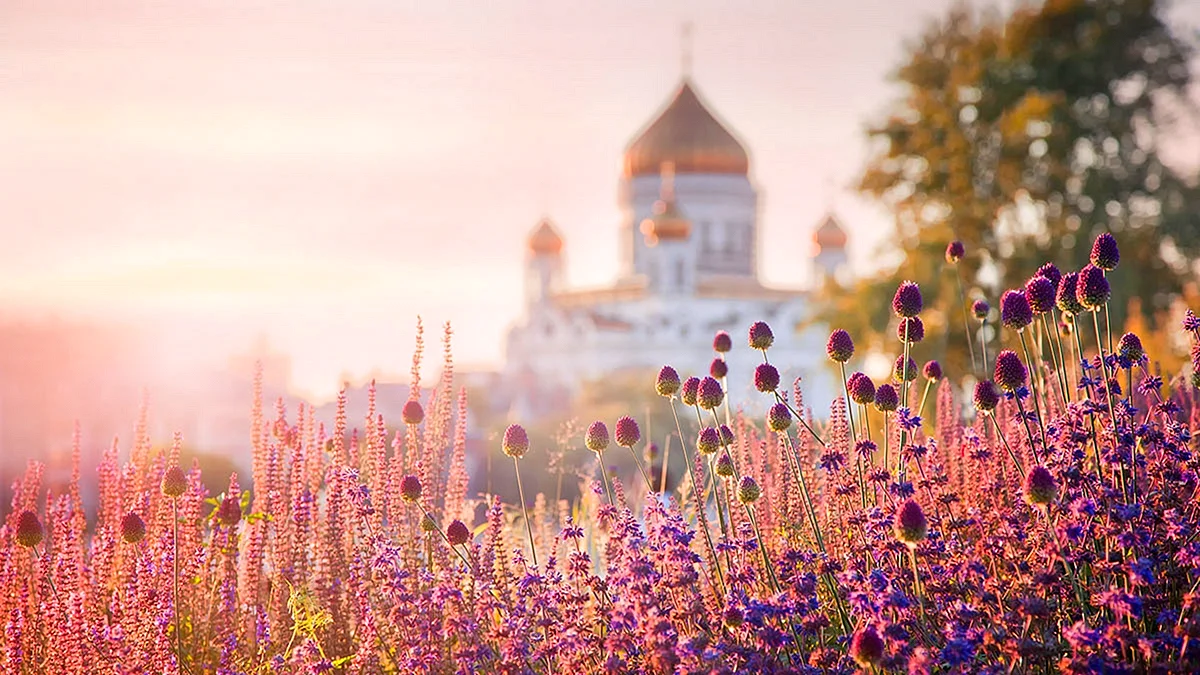Храмы на фоне летних цветов