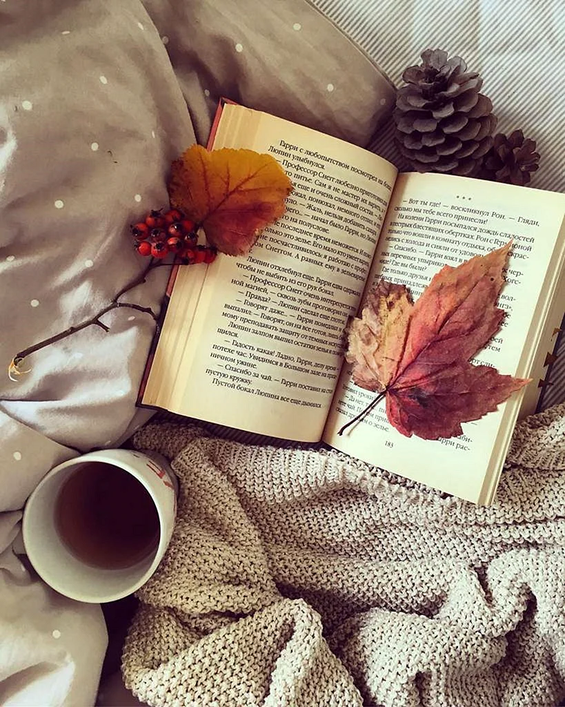 Книги про осень