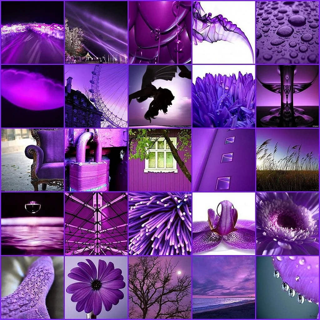 Коллаж в фиолетовых цветах